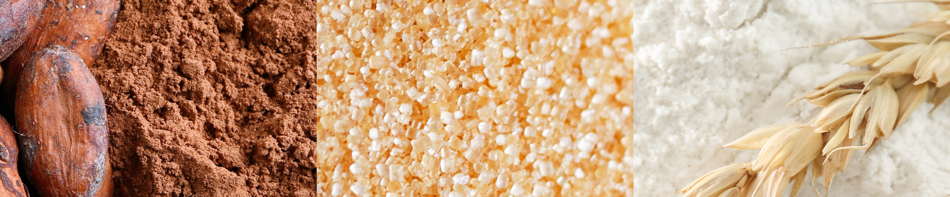 Industria_Alimentaria_Polvo_Combustible